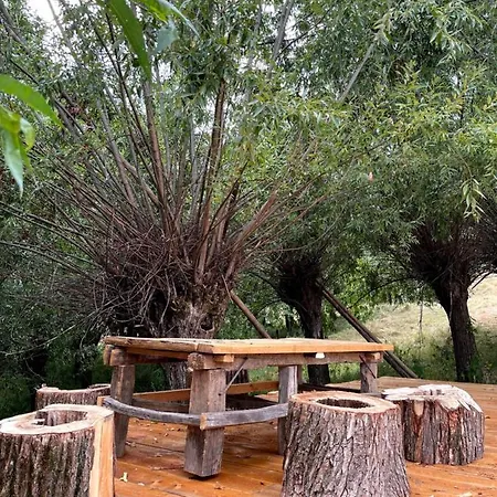 Guest house Caezu Slatina (Arges)