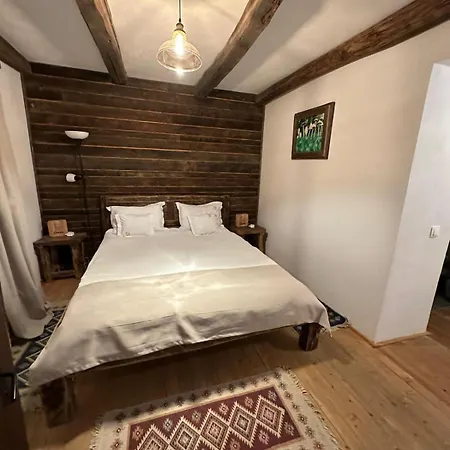 Caezu Guest house Slatina (Arges)